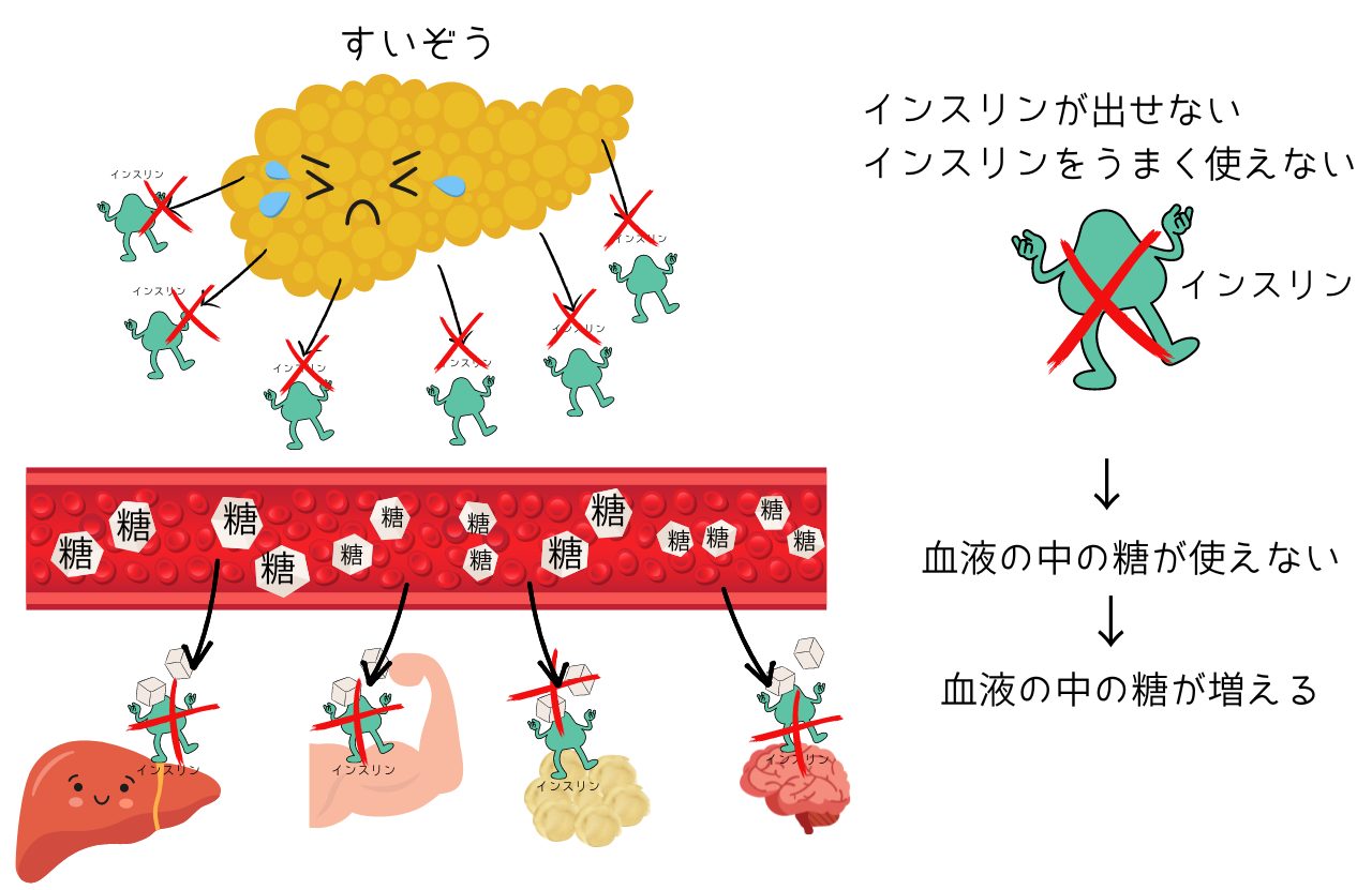 蜂蜜は血糖値にどのような影響を与えるのでしょうか?